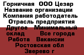 Горничная. ООО Цезар › Название организации ­ Компания-работодатель › Отрасль предприятия ­ Другое › Минимальный оклад ­ 1 - Все города Работа » Вакансии   . Ростовская обл.,Зверево г.